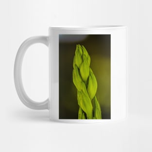 Giant Stalk Mug